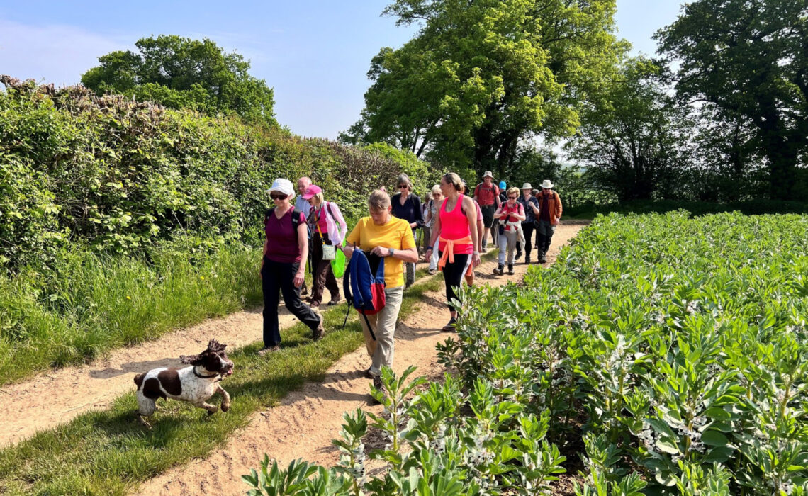 We look forward to welcoming you to this year’s Farnham Walking Festival!