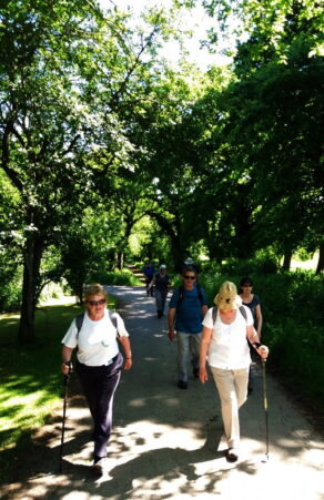 People walking on path in dappled sunlight.