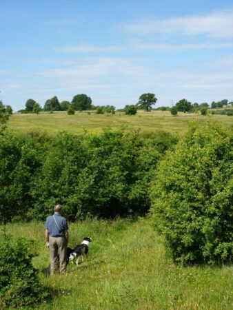 Man and dog in park