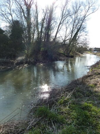 The river system banner