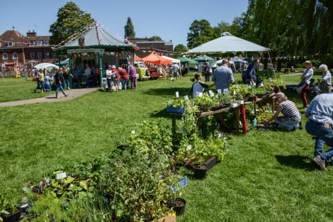 Plant stall and marquees in a park area