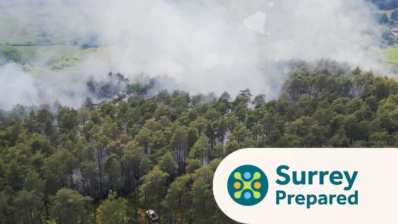 Forest Fire At Crooksbury Rd Tilford