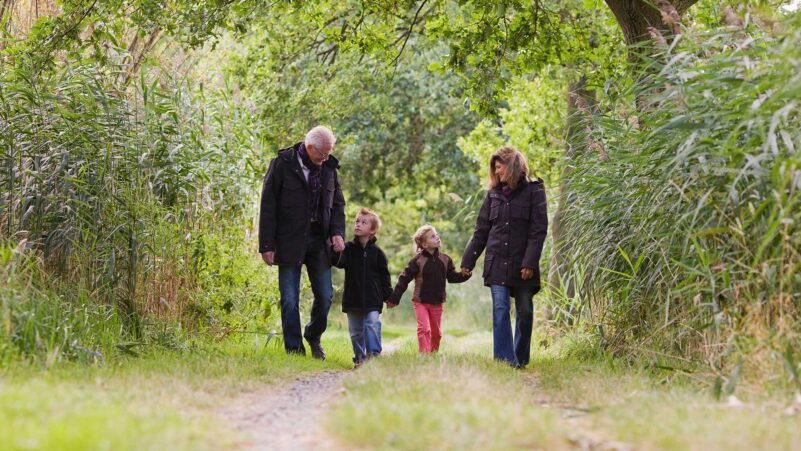 Children With Parents Walking Through The Park
