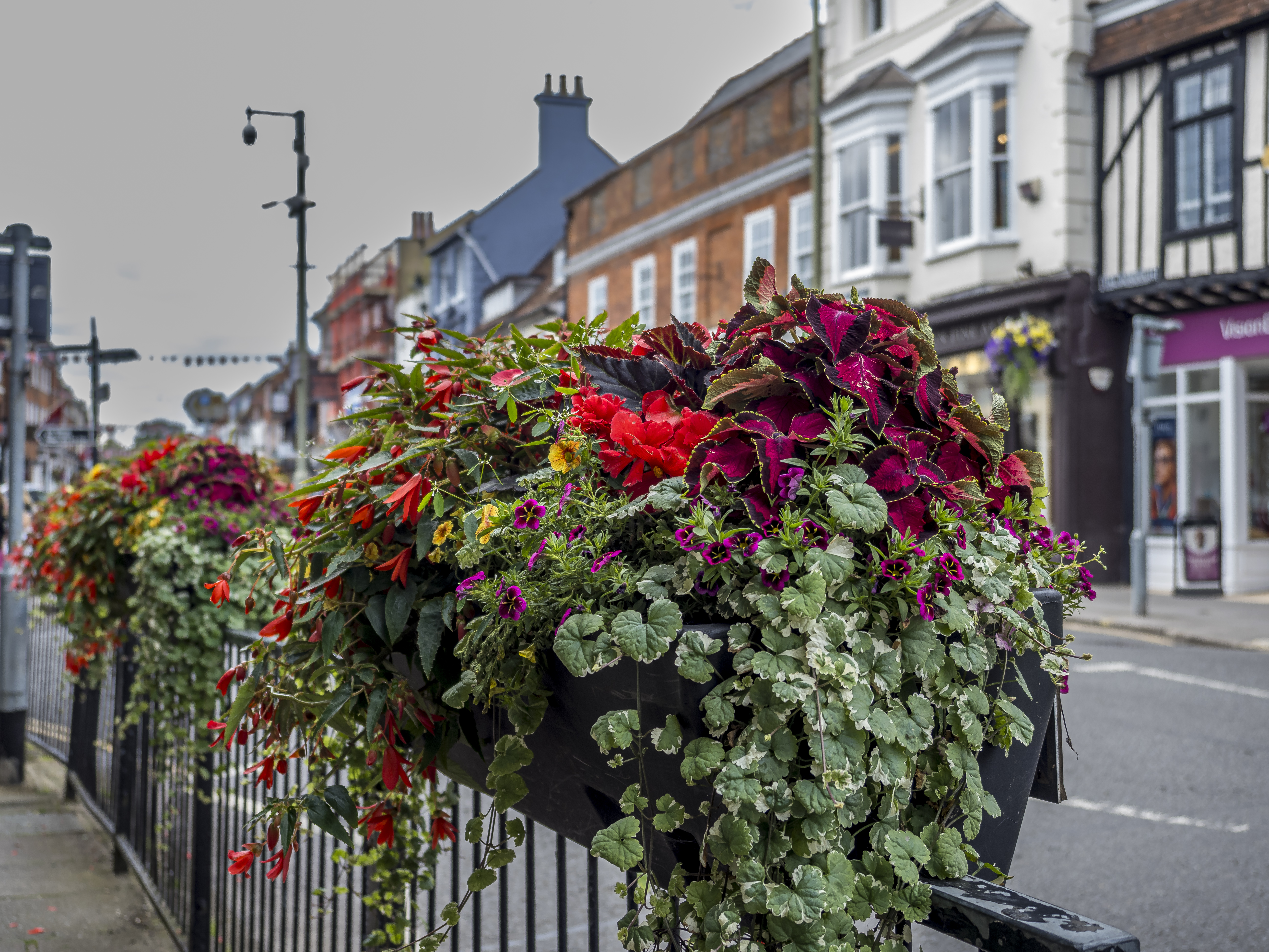 Flower troughs on railings. Filled with summer flowers.