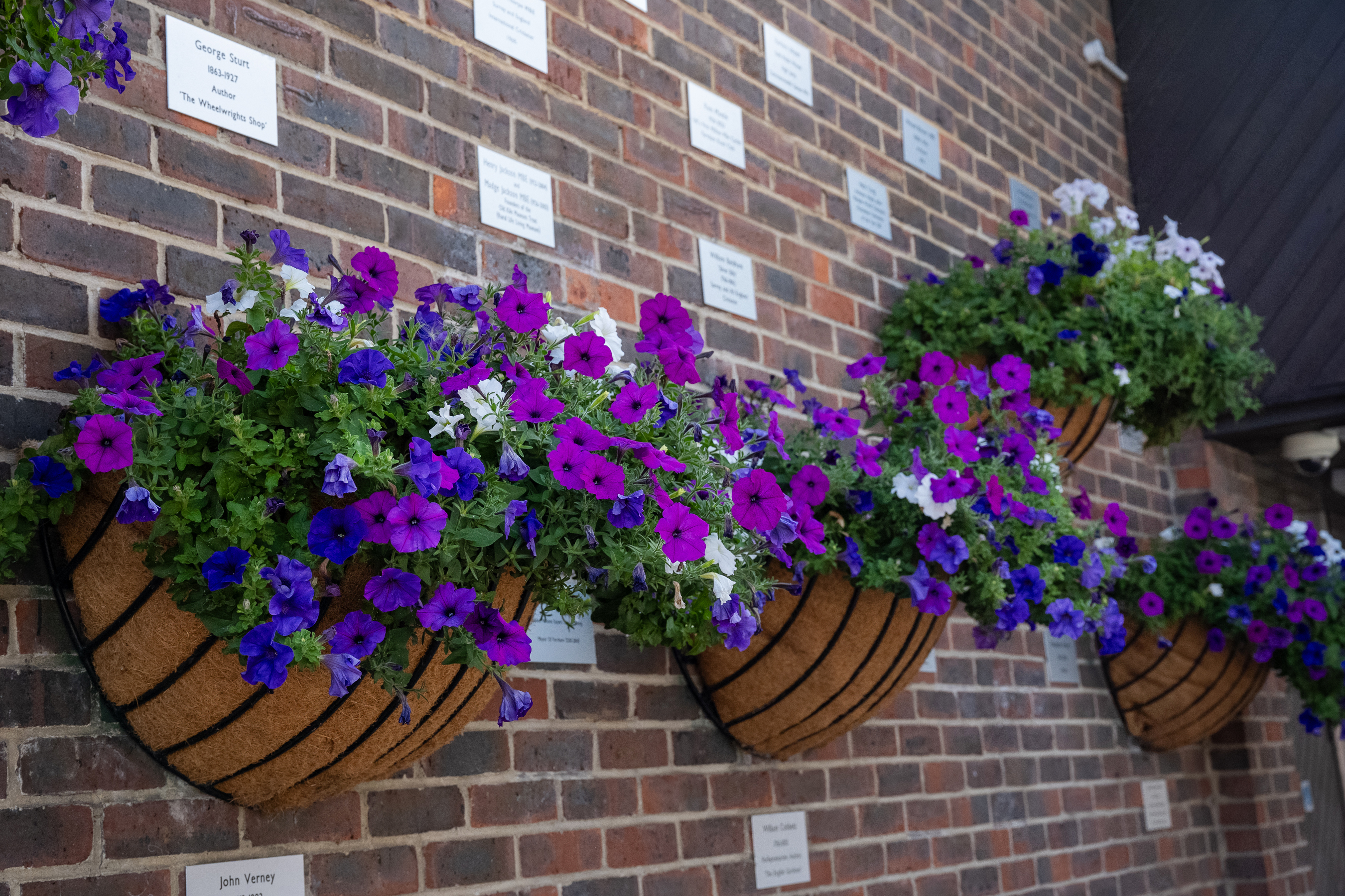 Explore Farnham's green spaces, allotments and Farnham in Bloom