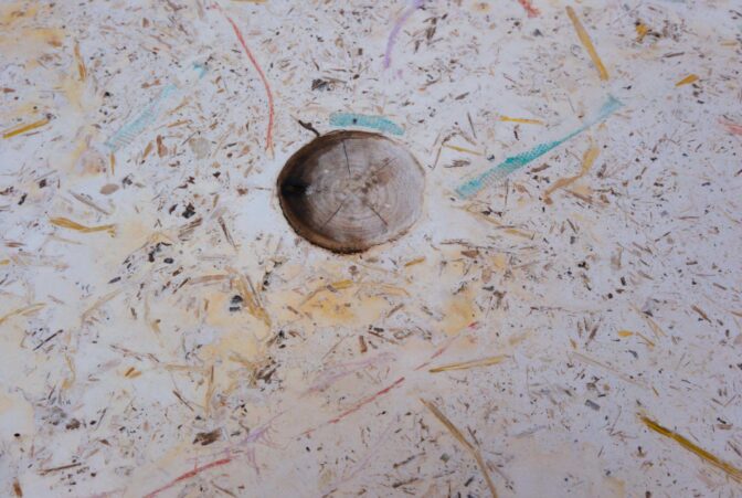 Uca. Harvert Moon. Charlie Levine. Fcm Image 2026