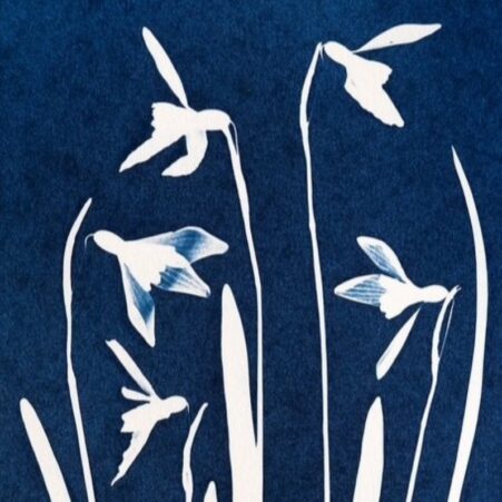 Paula Cairns. Introduction To Cyanotype. Autumnworkshops2026 1